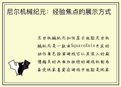 尼尔机械纪元：经验焦点的展示方式